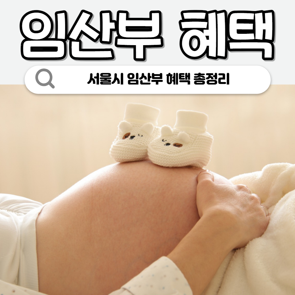 서울시 임산부 혜택