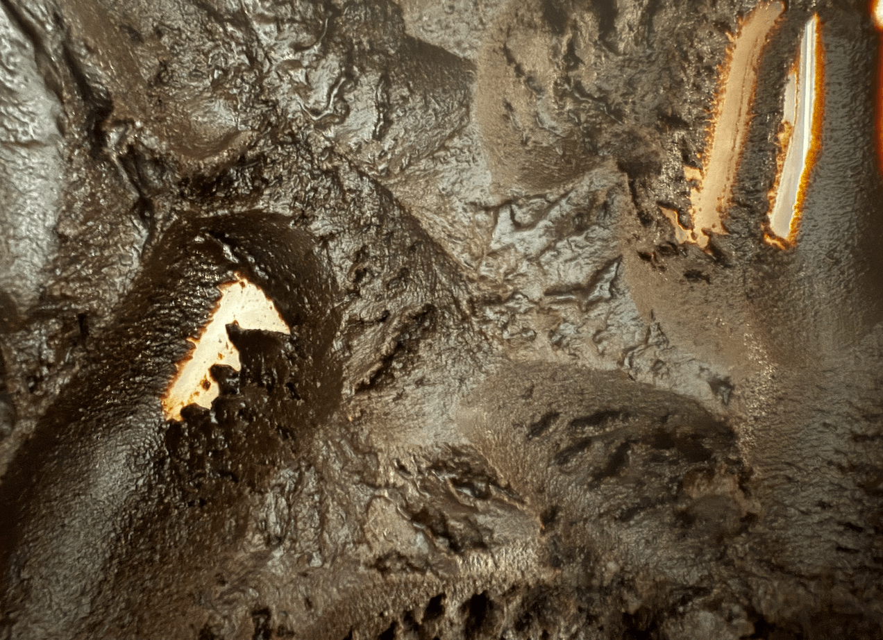 경옥고 갱년기 효과