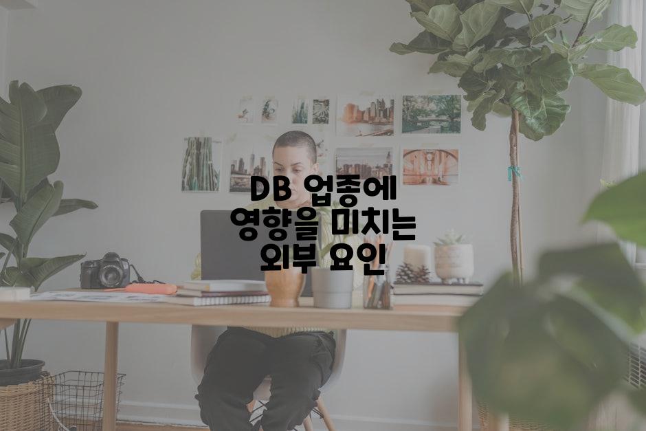 DB 업종에 영향을 미치는 외부 요인
