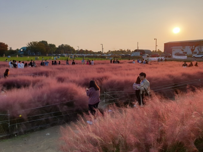 평택 바람새마을