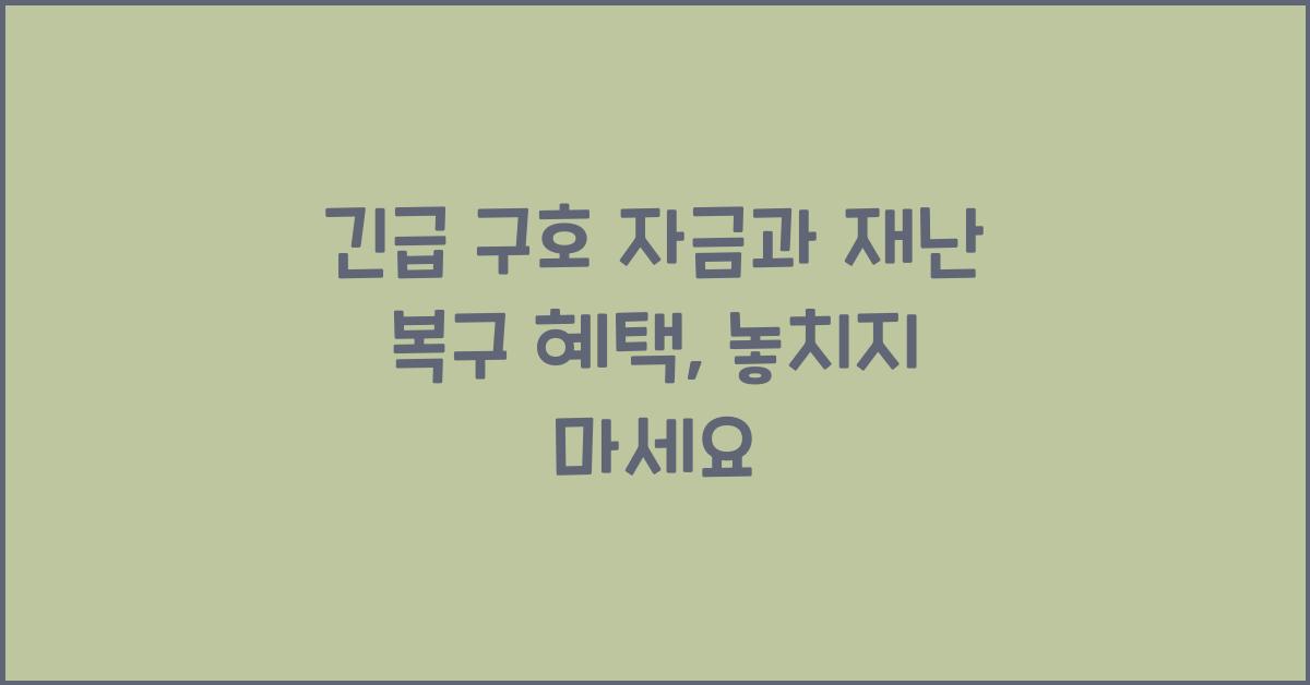 긴급 구호 자금과 재난 복구 혜택