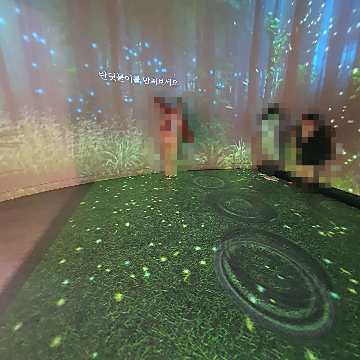 곤충생태원-반딧불이-가상체험