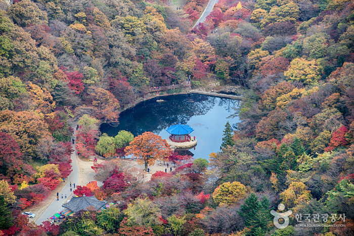 내장산 국립공원 우화정 가을 단풍