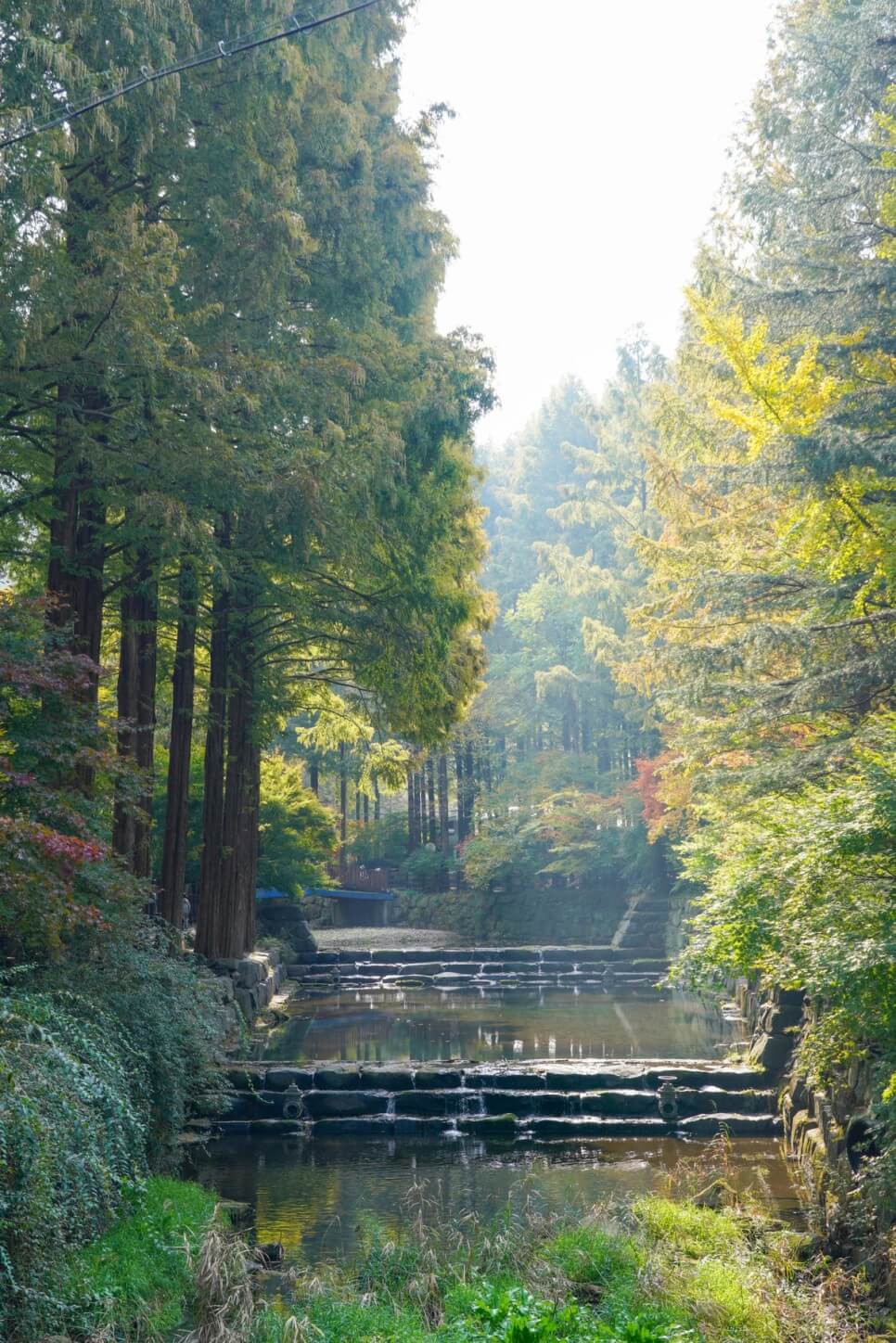 대전 장태산 자연휴량림