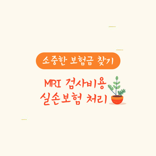 MRI 검사비용 실손보험 처리