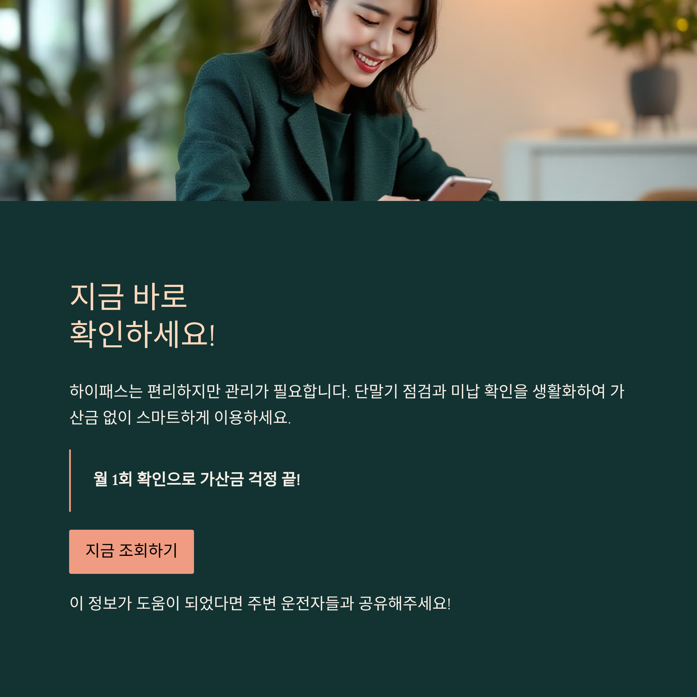 고속도로 하이패스 미납