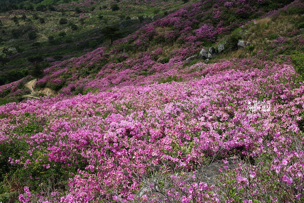 2026 합천 반값여행 지원신청 방법 조건 확인하기 여행코스 추천