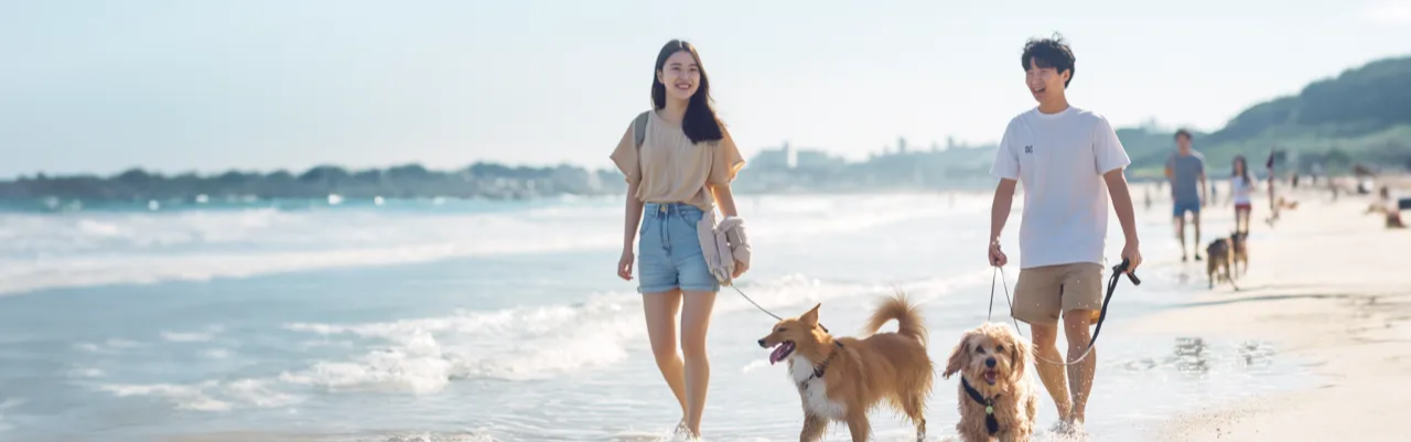 야놀자 반려동물 숙박대전