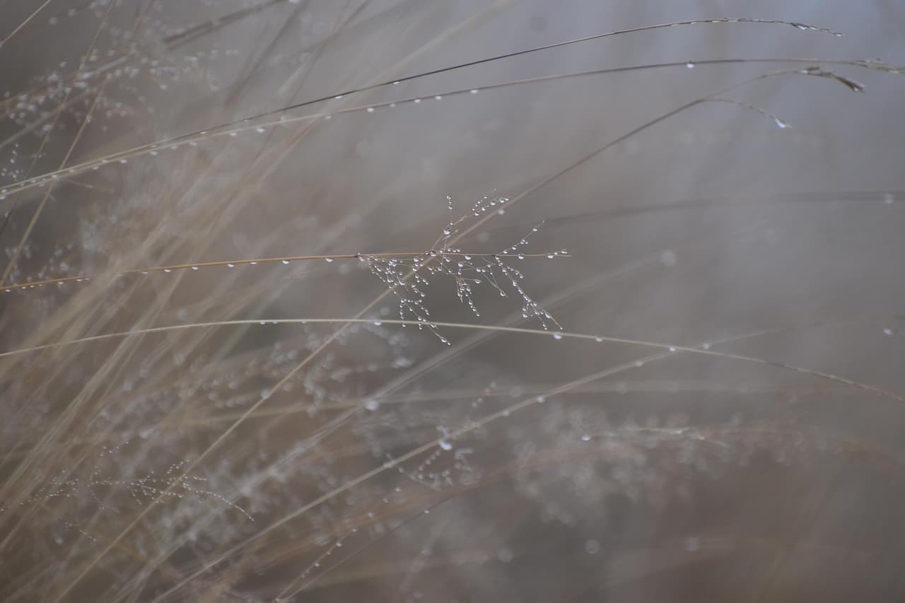 🧬 탈모와 영양 불균형, 모발이 보내는 신호