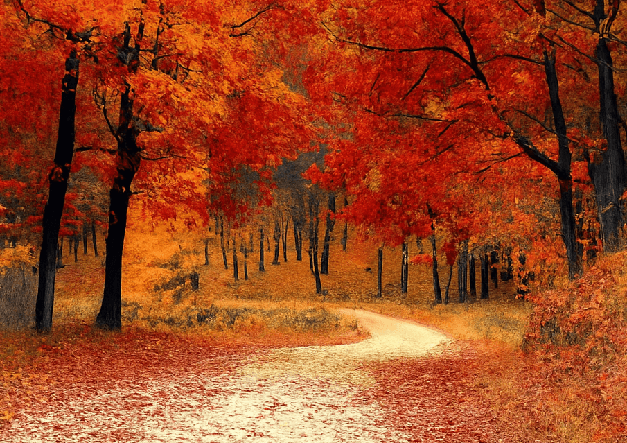 가을 단풍 명소 국내 여행 추천과 아름다운 코스 소개