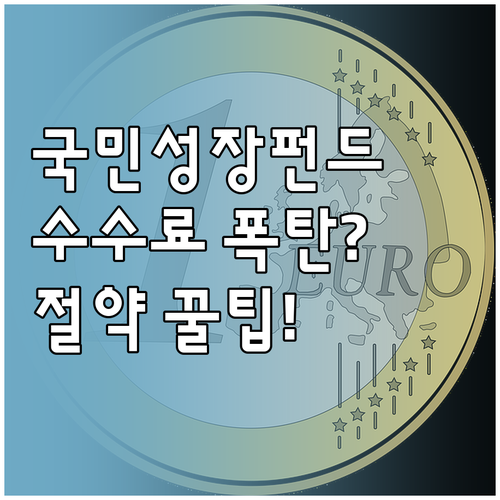 국민성장펀드 클래스별 수수료 비교 및..