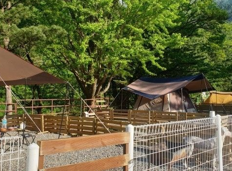 인제 미산분교 캠핑장