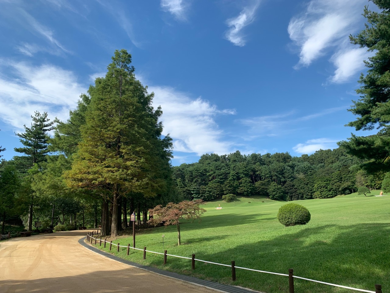 청남대 승용차 예약
