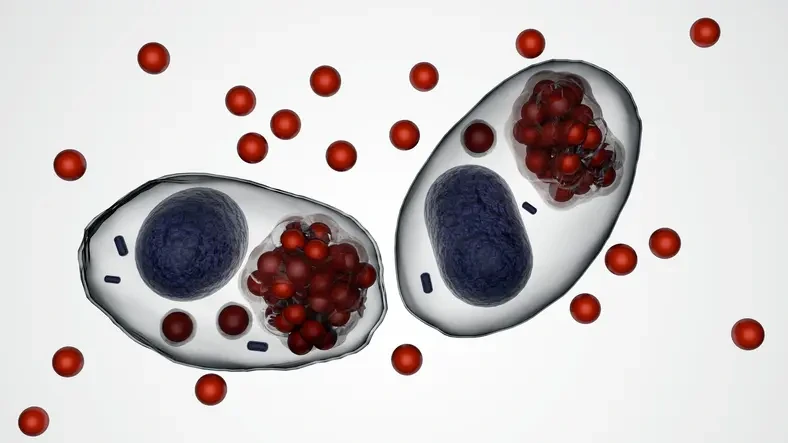 클라미디아 감염 경로