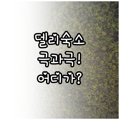 인도 뉴델리 숙소 비교 럭셔리 호텔과..