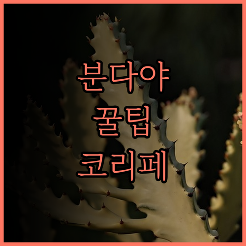 분다야 리조트 후기.. 조용하고 깨끗