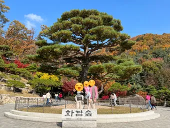 화담숲 입장료 할인 받는 법부터 예매 꿀팁까지는 총정리_22