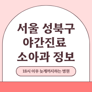 서울 성북구 야간진료 소아과 병원 (18시 이후 늦게까지하는 병원)