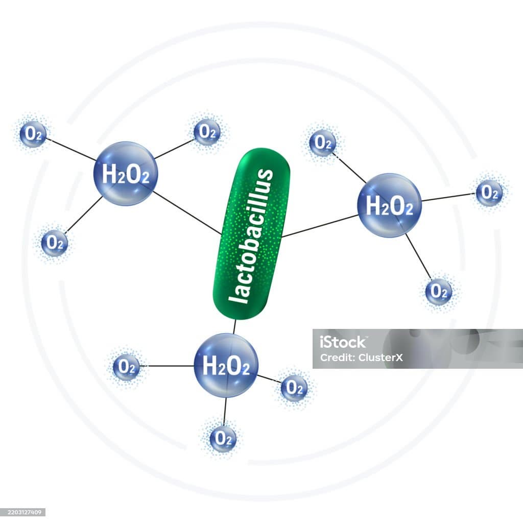 운동이 장내 환경에 미치는 영향