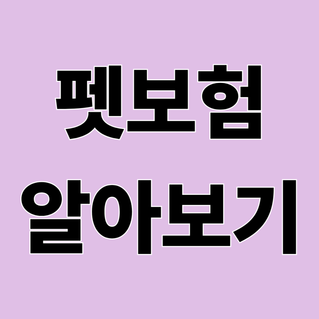 반려동물 보험 꼭 필요할까? 가입 전 알아야 할 정보 총정리