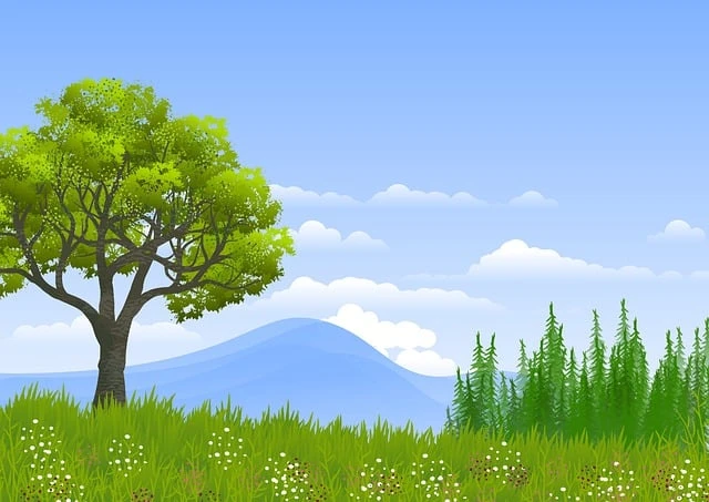 모두투어 공동구매 항공권