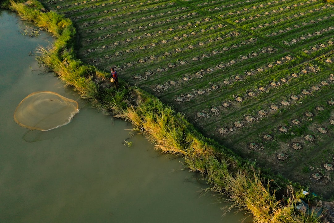 Agricultural management