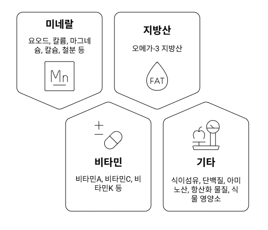 불 켈프 영양소