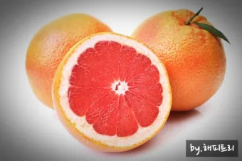 자몽 효능과 건강 효과_17