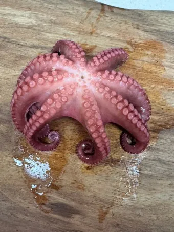 문어 삶는법 문어 요리 레시피_13