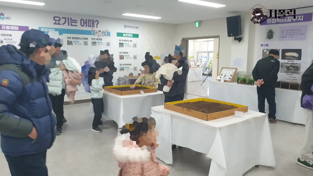 곤충체험전시관-2층-관람하는 사람들