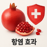 석류 효능