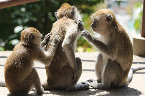 무좀 원인, 치료법