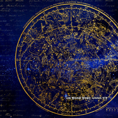 나의 별자리로 알아보는 사자자리 성격