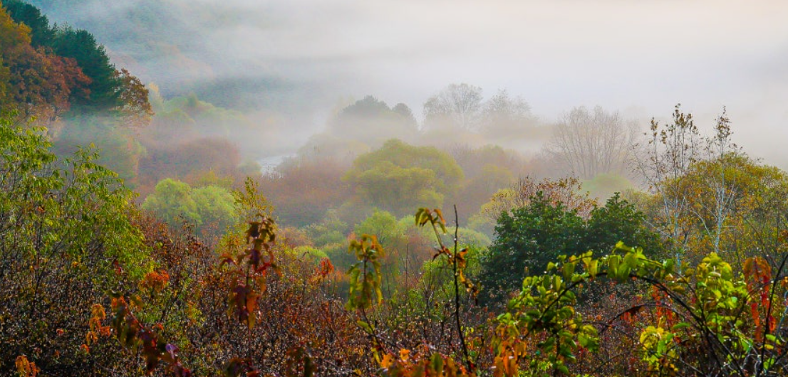방태산자연휴양림