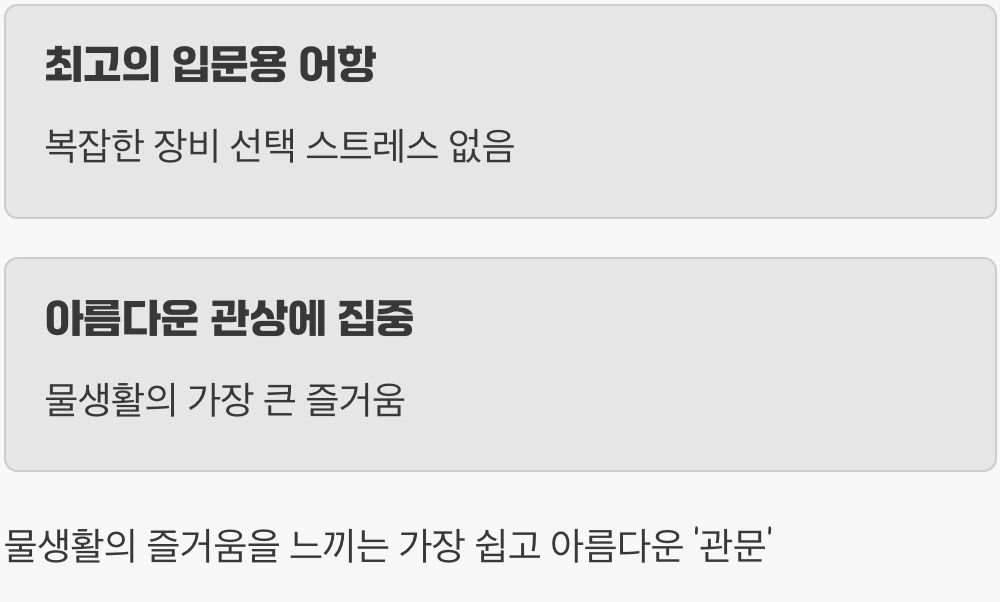 그래서, 초보자에게 정말 추천하나요?