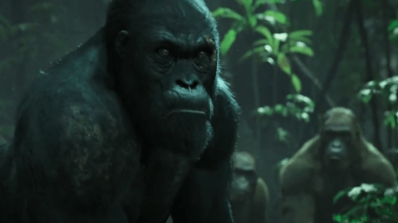 타잔 인간 본연의 자유