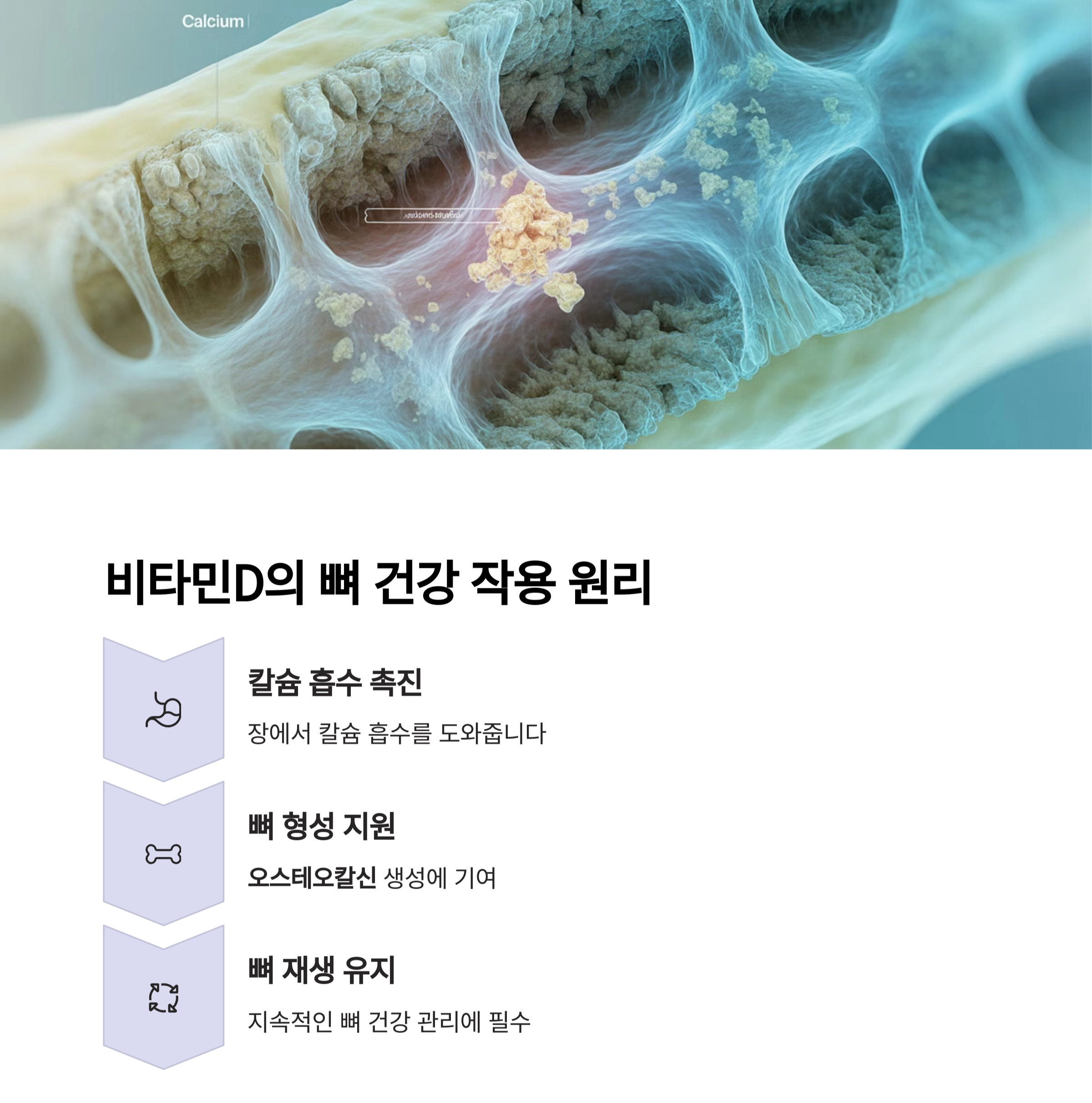 골다공증을 막는 첫걸음, 비타민D 섭취 요령 완전정복