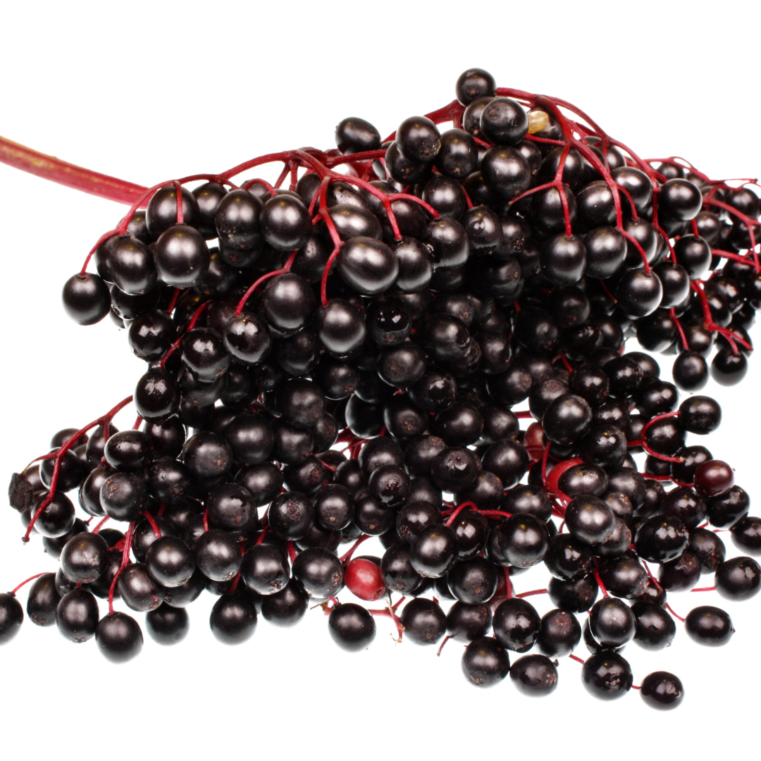 엘더베리 효능 과다 섭취 부작용, 하루 섭취 권장량, 많은 음식 7가지