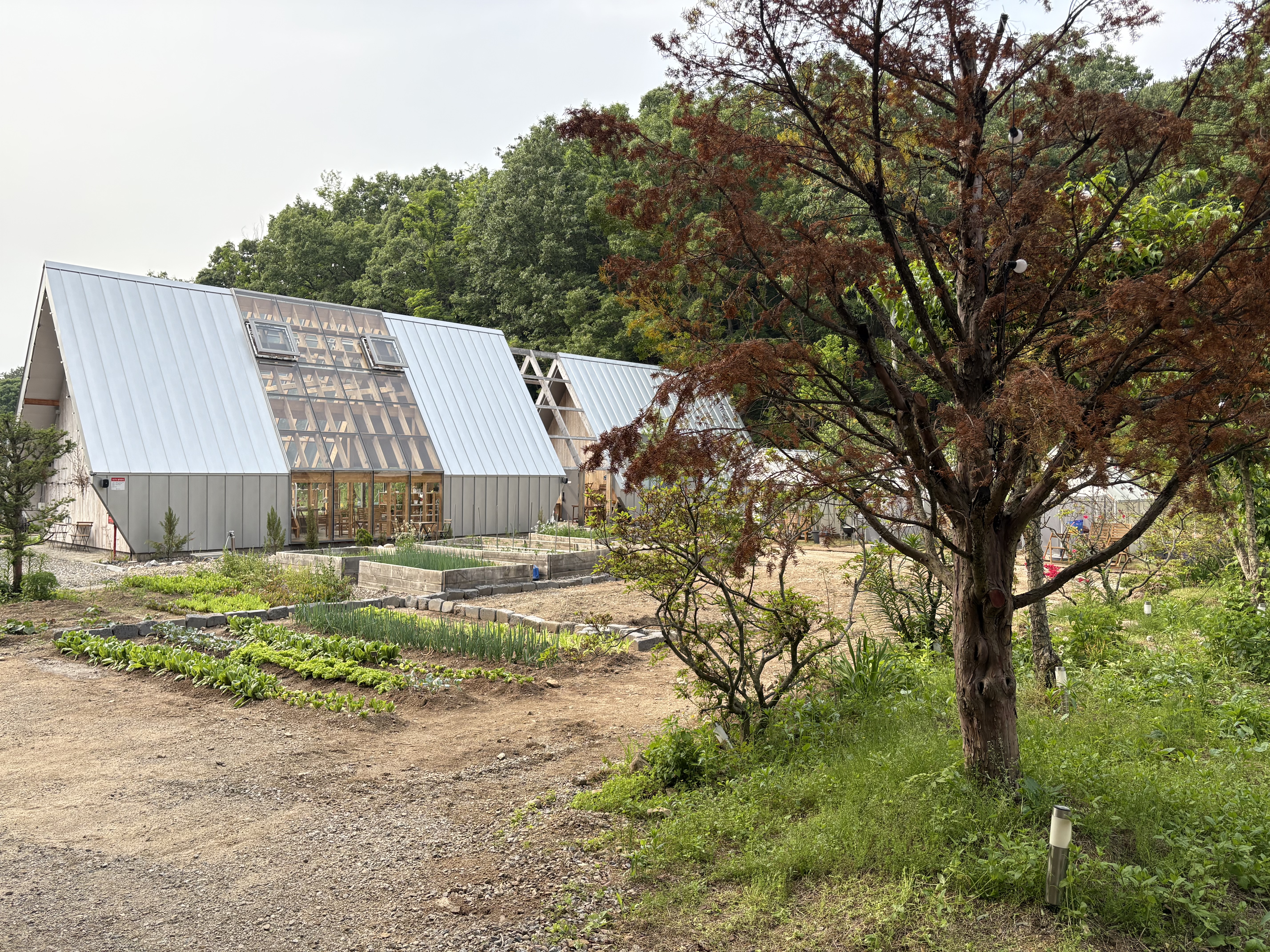 지평오차드 셀프 바베큐장