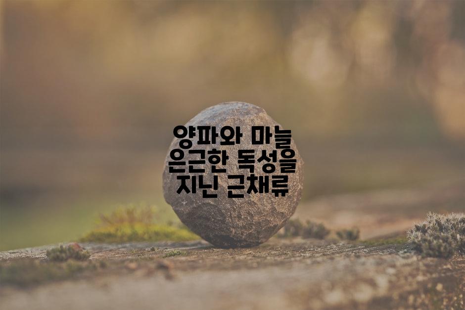 양파와 마늘 은근한 독성을 지닌 근채류