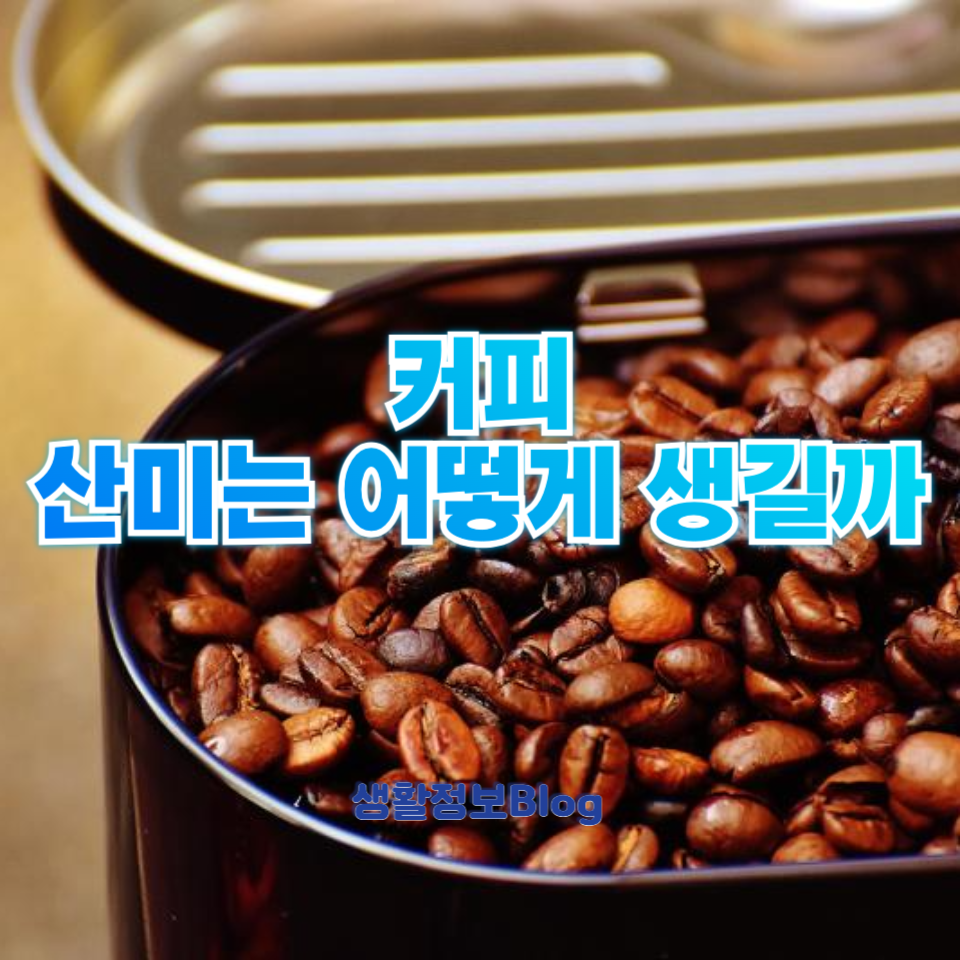 커피의 산미는 어떻게 생길까
