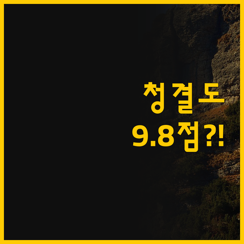 청결도 9.8점! 가성비 끝판왕 이너..