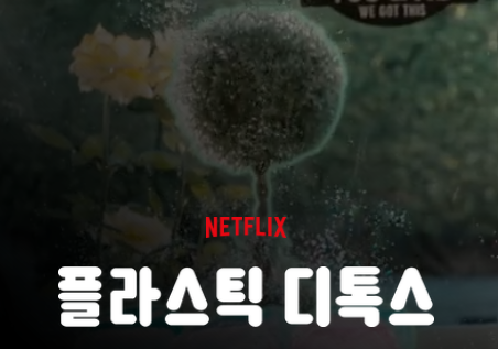 넷플릭스 홈페이지 출처인 플라스틱 디톡스 표지입니다.