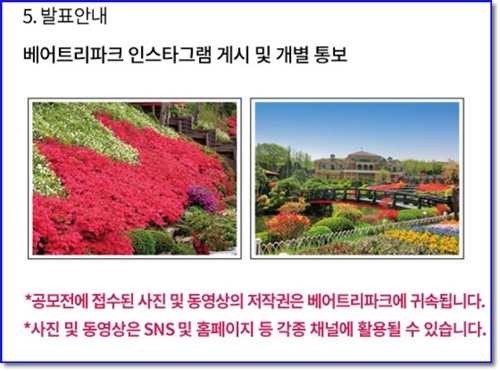 세종시 베어트리파크 입장료 할인 봄꽃 축제 가는길