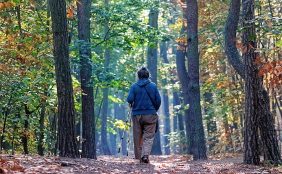도시 속 자연: 현대인이 자연에서 얻을 수 있는 에너지