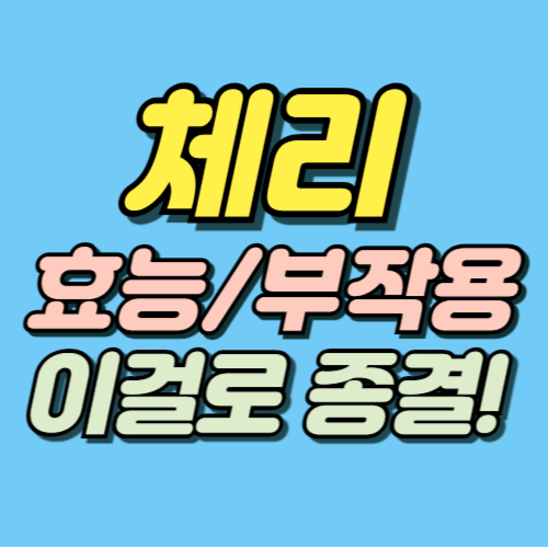 체리 효능 부작용