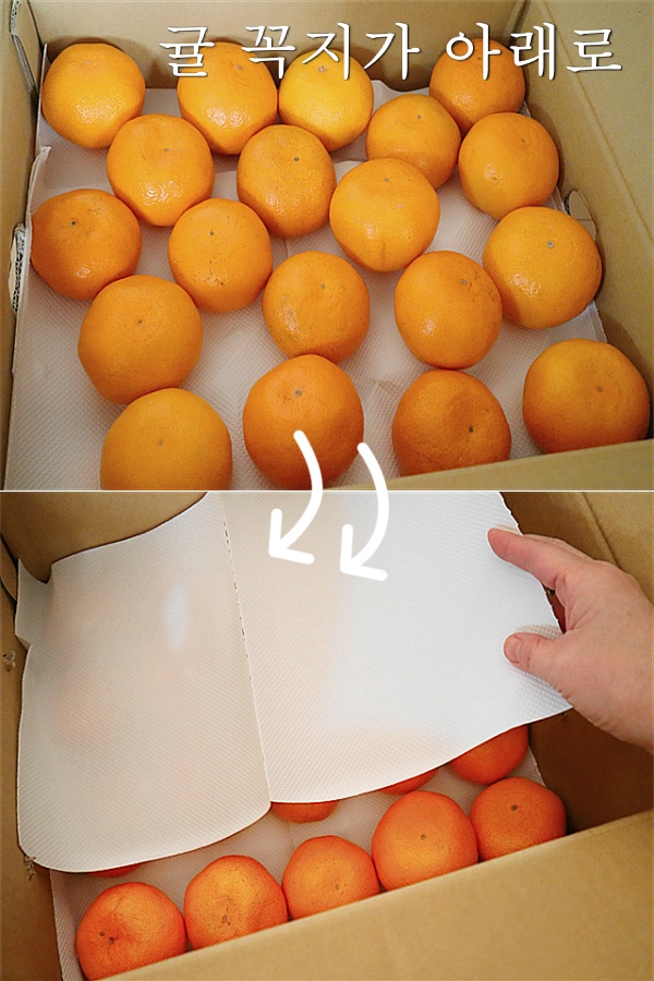 귤 오래 보관하는 방법, 귤 보관법, 귤 오래두고 먹는방법, 생활꿀팁, 팁줌 매일꿀정보