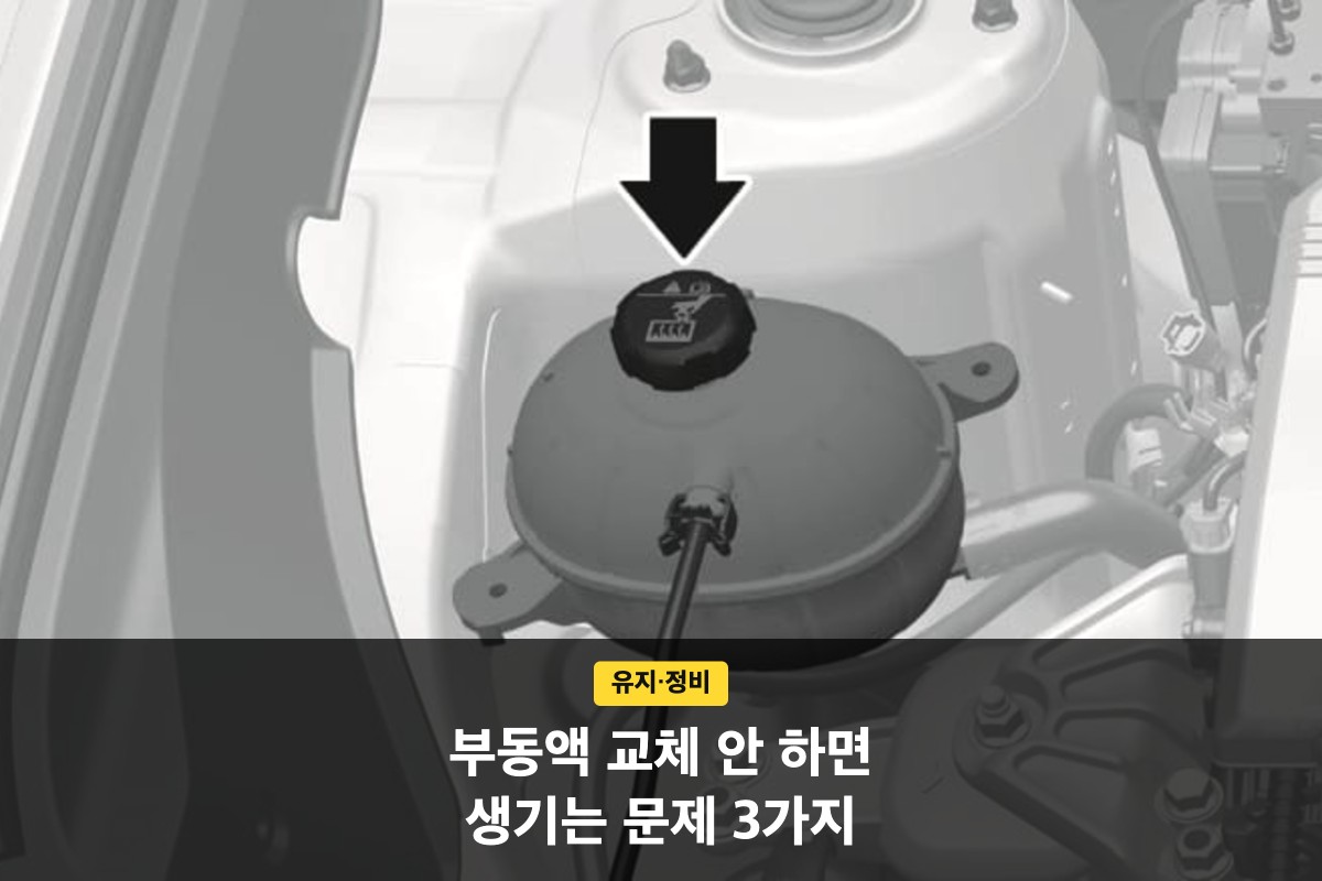 엔진룸 냉각수 보조탱크 캡을 가리키는 화살표와 교체 안내 문구