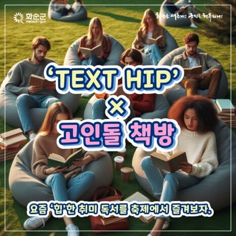 화순 고인돌 가을꽃 축제