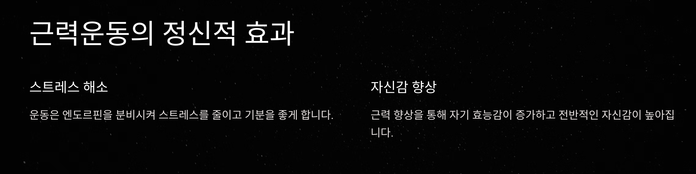 나이 들어도 탄탄하게! 50대 여성 맞춤 근력운동 BEST 5